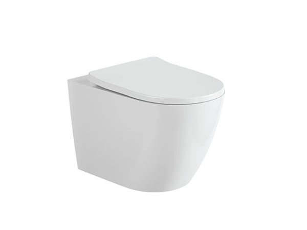 Wall-hung Toilet