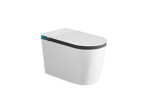 Smart Toilets