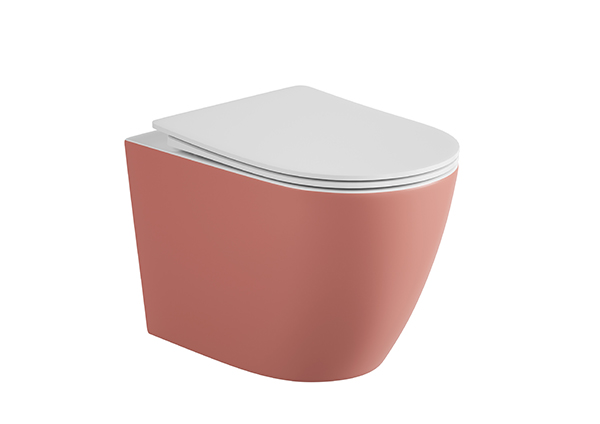 Wall-hung Toilet