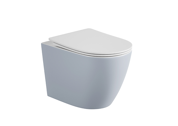 Wall-hung Toilet