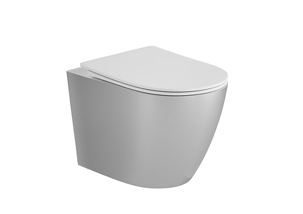 Wall-hung Toilet