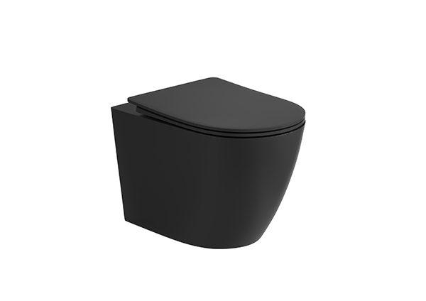 Wall-hung Toilet