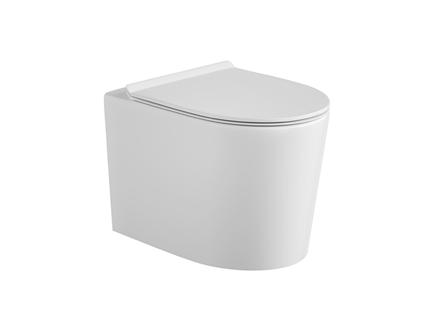 Wall-hung Toilet