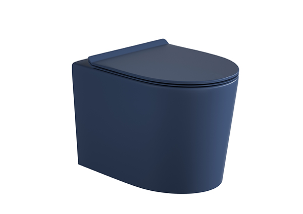 Wall-hung Toilet