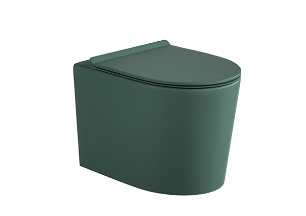 Wall-hung Toilet