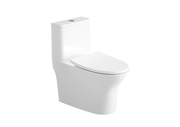 One-Piece Toilet