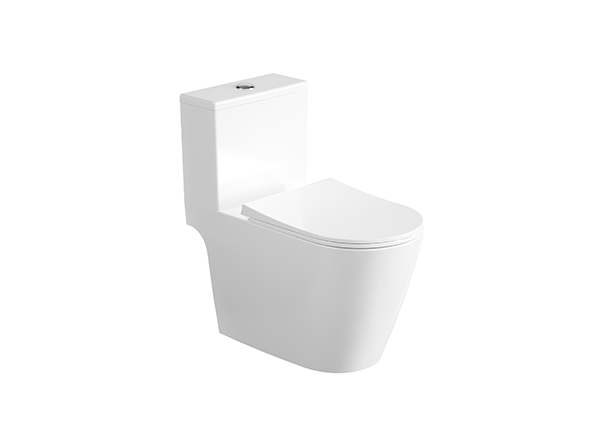 One-Piece Toilet