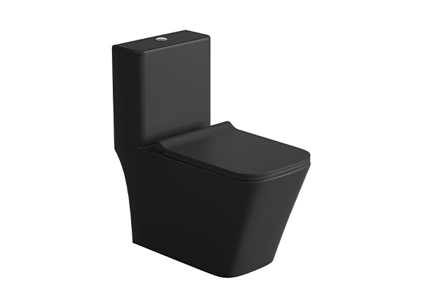 One-Piece Toilet