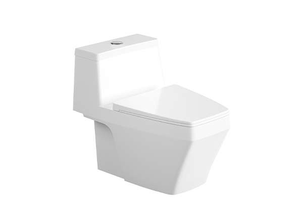 One-Piece Toilet