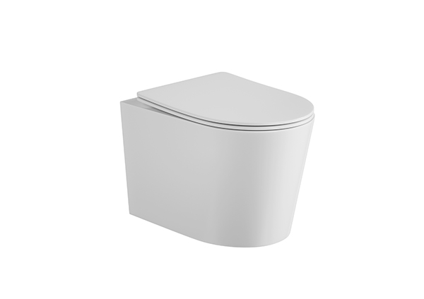 Floor Standing WC